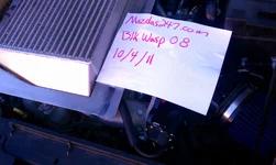 bov1.webp