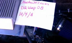 bov2.webp