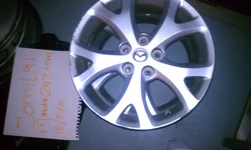 IMAG0007.webp