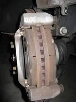 IMG_3066.webp IMG_3066.webp