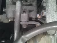 IMG_20111106_121009.webp