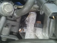 IMG_20111106_121016.webp