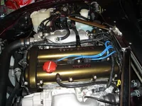 DSC01868a.webp