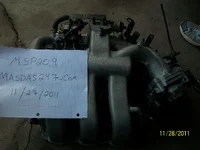 100_7800.webp
