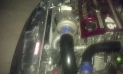 IMAG0159.webp