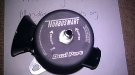 bov3.webp