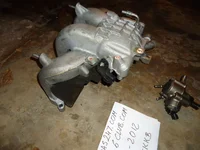 DSC00894.webp