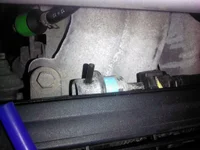 IMG_20120124_085043.webp