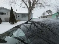 tn_DSCN0073.webp