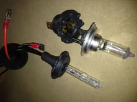 bulb.webp