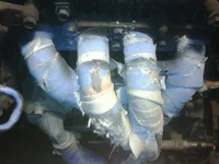 IMG01417-20111220-1147.webp