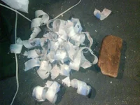 IMG01419-20111220-1209.webp