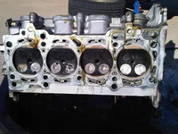 IMG00174-20120310-1623.webp