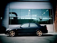 my msp1.webp