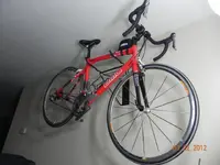 bmc mavic.webp