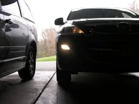 New Fogs Pside.webp