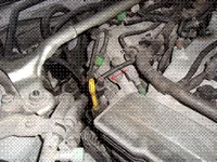 DSC01281.webp
