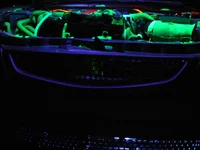 Black Light - Grill2.webp