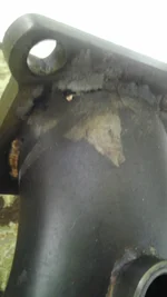 IMAG1638.webp