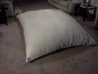 nakedsac.webp