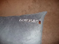 Lovesac (2).webp