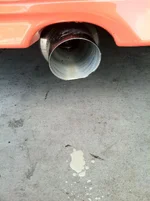 photo.webp