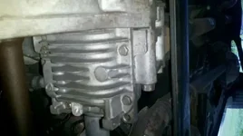 1338250505198.webp