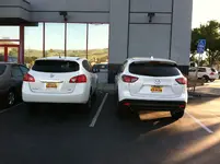 Rogue and CX-5.webp