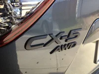 photo 3 (2).webp