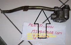 100_5705.webp