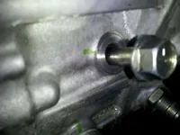 xmsn bolt.webp