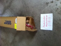 Picture 003.webp