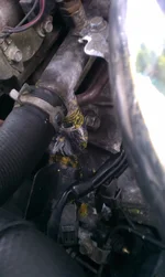 hose at the bottom.webp