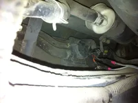 IMG_0445.webp IMG_0445.webp