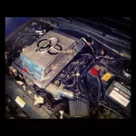 pic4.webp