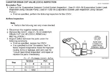 CDCV_2.webp