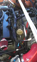 IMAG2282.webp