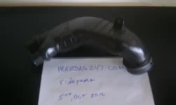 IMAG1307.webp