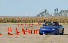 DSC_2639L.webp