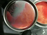 paint.webp