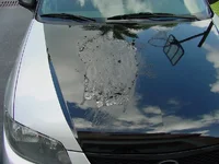 DSC00006.webp