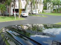 DSC00010.webp