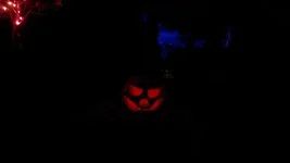 IMAG1154.webp