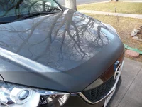 P1050650.webp