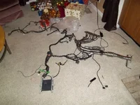 100_1705.webp