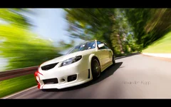 7236223228_93a06bd36c_o.webp