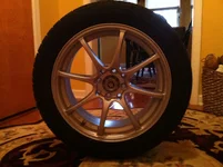 IMG_0493.webp IMG_0493.webp