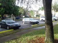 IMG_20130204_084213.webp