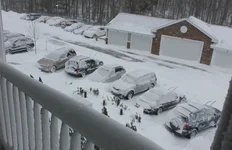 snow1.webp