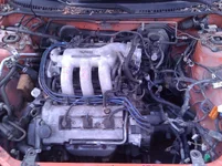 WP_002891.webp